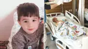 Van'da 13 Köpeğin Saldırdığı 5 Yaşındaki Hamza Hayatını Kaybetti
