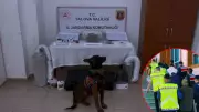 Yalova merkezli 3 ilde göçmen kaçakçılığı operasyonu: 3 tutuklama