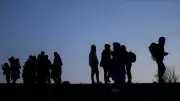 Yasa Dışı Girişe Geçit Yok: Düzce'de 7 Düzensiz Göçmen Yakalandı