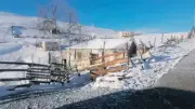 Yaz Başında Kar Sürprizi: Doğu Karadeniz Yaylaları Beyaza Büründü