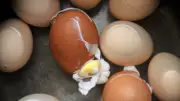 Yumurta Haşlarken Sakın Bu Hatayı Yapmayın! Çatlama Sebebi