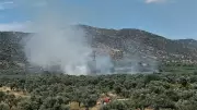 İzmir Bayındır'da Zeytinlik Yangını Kontrol Altına Alındı
