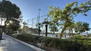 İzmir Konak'ta tenis kortu için ağaç kesilmesine mahalleli tepki gösterdi