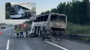 İzmir-İstanbul seferindeki otobüste yangın: 43 yolcu tahliye edildi