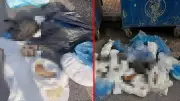 İzmir'de 33 kedi öldürülüp poşetlere konuldu: Veteriner hekim gözaltında