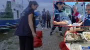 İzmir'de kaçak midye operasyonu: 7 ton su ürünü ele geçirildi