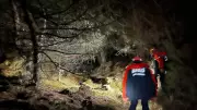 İzmir'de kaybolan 4 genç şelalede bulundu