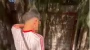 İzmir'de sokakta uyuyan yaşlı adamı tekmeleyen 2 şüpheli tutuklandı