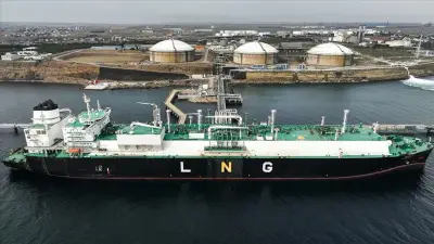 2025 Küresel LNG Ticareti Rekor Kırdı: 428 Milyon Ton