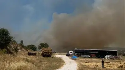 Çanakkale Ezine'de orman yangını kontrol altına alındı