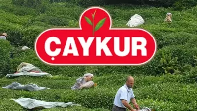 ÇAYKUR Mevsimlik İşçi Alımı 2026: Başvuru Tarihleri ve Şartları