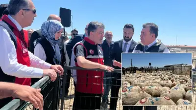 Bakan Yumaklı: Küçükbaş Hayvan Varlığımız 58 Milyonu Aştı