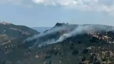 Balıkesir Burhaniye'de zeytinlik yangını kontrol altına alındı