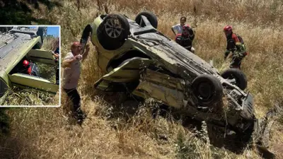 Balıkesir'de Arı Panik Yaptırdı: 1 Ölü, 4 Yaralı