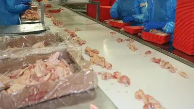 Beyaz ette 13 şirkete denetim kayyımı atandı: Fiyat artışı soruşturması