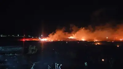 Burhaniye'de örtü yangını! Ekipler alevlere müdahale ediyor