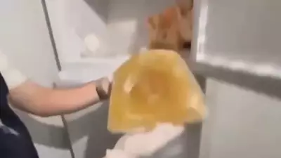 Buzdolabında Poşet Poşet Uyuşturucu Buldular, 2 Tutuklu