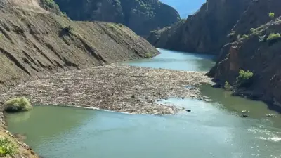 Dereye düşen kamyonette kaybolan oğul 14 gün sonra bulundu, baba aranıyor