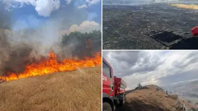 Diyarbakır'ın 5 İlçesinde Anız ve Örtü Yangını: Söndürme Çalışmaları Sürüyor