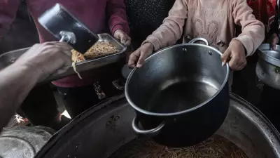 DSÖ: Küresel Gıda Güvensizliği Her 9 Kişiden 1'ini Etkiliyor