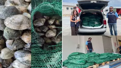 Edirne'de 840 kg canlı akivades ele geçirildi, 1 milyon TL ceza
