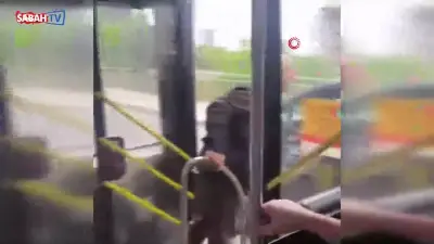 Esenyurt'ta İETT şoföründen küfür eden sürücüye: 4 yaşındaki çocuğum da küfrediyor
