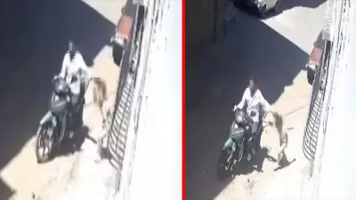 Gaziantep'te kızını darbedip saçından sürükleyen baba gözaltına alındı