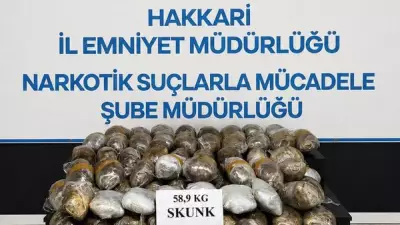 Hakkari'de 59 kilogram skunk ele geçirildi: 3 gözaltı