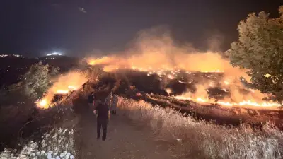 Hatay'da anız yangını zeytinliğe sıçradı: 200 dönüm zarar