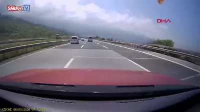 Hatay'da Kamyonet, Yola Çıkan Angusa Çarptı: Kaza Anı Kamerada