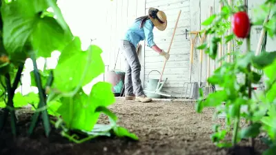 Hobi Bahçelerine Sıkı Takip: 10 Soruda Yeni Tarım Arazisi Düzenlemesi