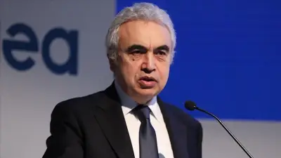 IEA Başkanı: Türkiye İklim Mücadelesinde Stratejik Rol Üstleniyor