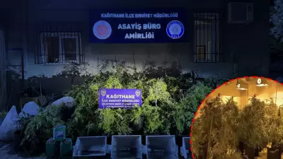 Kağıthane'de operasyon! Koku gelen eve baskın: Dev uyuşturucu serası ele geçirildi