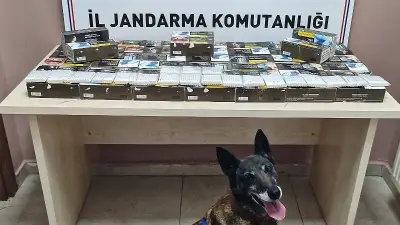 Kayseri Pınarbaşı'nda Jandarmadan 10 Bin Makaron Ele Geçirildi