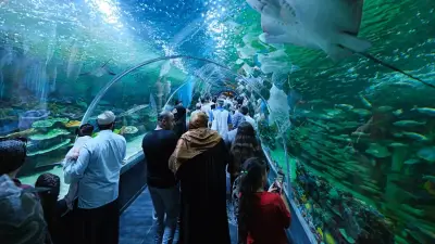 Körfez Aqua Kıtalar Akvaryumu'na Açılış Günü 15 Bin 150 Ziyaretçi Akını