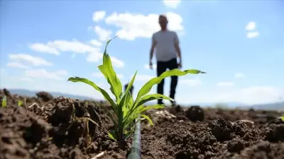 Kırsal kalkınma desteği başvuru süresi uzatıldı