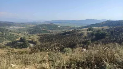 Manisa Akhisar'da orman yangını kontrol altına alındı