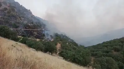 Mardin Kızıltepe'de örtü yangını kontrol altına alındı