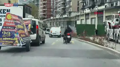 Motosiklete Bağladığı Köpeği Koşturana 8 Bin 678 Lira Ceza