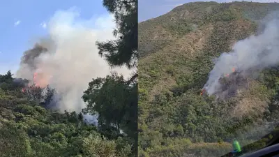 Muğla'da Yıldırım Kaynaklı Orman Yangınına Havadan ve Karadan Müdahale