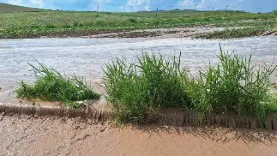 Çorum Alaca'da sağanak tarım arazilerini vurdu, yol sel sularıyla kapandı