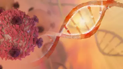 Pankreas Kanserine Karşı D Vitamini Devrimi: Tümörleri Yok Ediyor