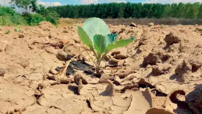 Sıfır Atık Vakfı'ndan Çölleşme ve Kuraklıkla Mücadele Uyarısı