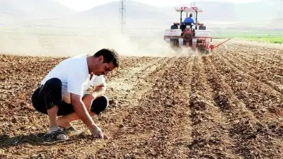 TÜİK Mayıs 2026 Tarım-ÜFE Verilerini Açıkladı: Yıllık Artış Yüzde 43,08