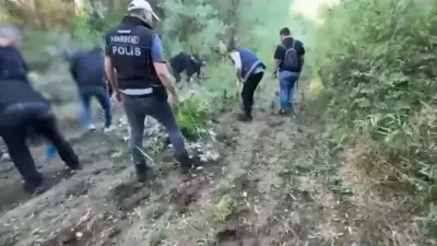UNESCO Listesindeki Hevsel Bahçeleri'nde Uyuşturucu Operasyonu: 12 Bin Kök Kenevir Ele Geçirildi