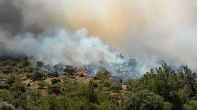 İzmir Dikili'de makilik alanda yangın: 7 uçak, 8 helikopter müdahale ediyor