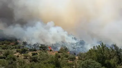 İzmir Dikili'de makilik alandaki yangına havadan ve karadan müdahale sürüyor