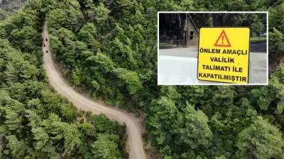 İzmir'de orman yangınlarına karşı yeni önlemler: Piknik ve mola yasak