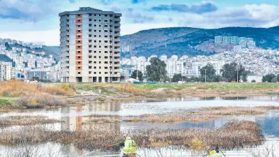 İzmir'de sivrisinek krizi büyüyor: Vatandaş isyan etti