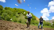 20 Dakikada Pişen Et Gibi Lezzet: Yedisu Horoz Kuru Fasulyesi Ekimi Başladı